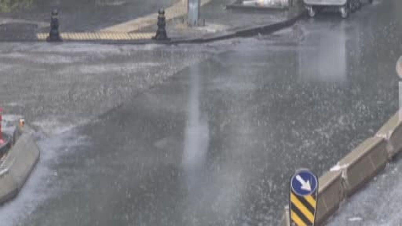 Başkentte yağıştan devrilen ağaç trafiği aksattı