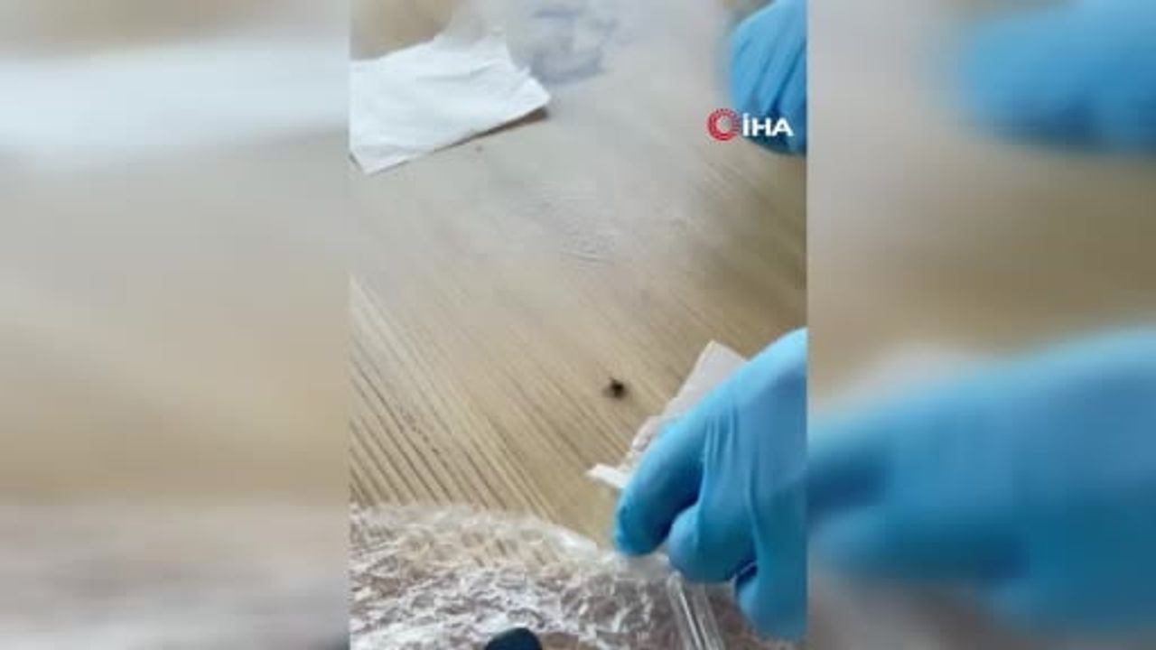TOGÜ’lü bilim adamı keneye karşı doğal kalkan geliştirdi