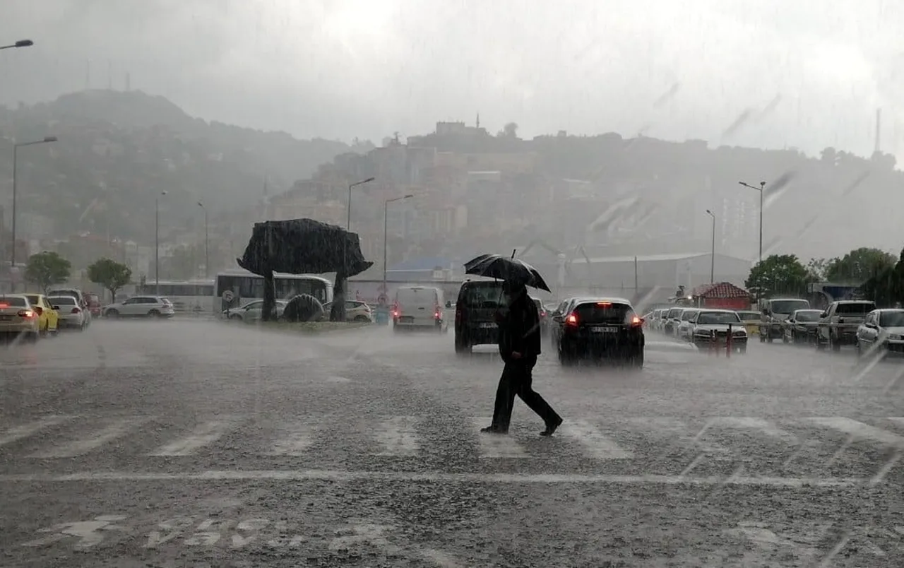METEOROLOJİ'DEN ERZİNCAN, ERZURUM VE BAYBURT İÇİN KUVVETLİ YAĞIŞ UYARISI