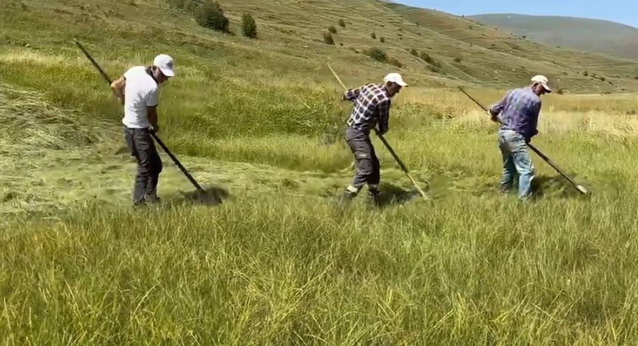 GÜNLERCE ETKİLİ OLAN YAĞIŞLAR NEDENİYLE TARLALARA GİREMEYEN ÜRETİCİLER, ÖZELLİKLE HASAT...