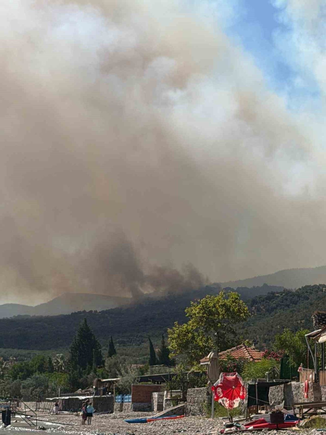 ÇANAKKALE'NİN AYVACIK İLÇESİNDE ARAZİDE ÇIKAN YANGIN ORMANA SIÇRADI. ORMAN BÖLGE MÜDÜRLÜĞÜ...