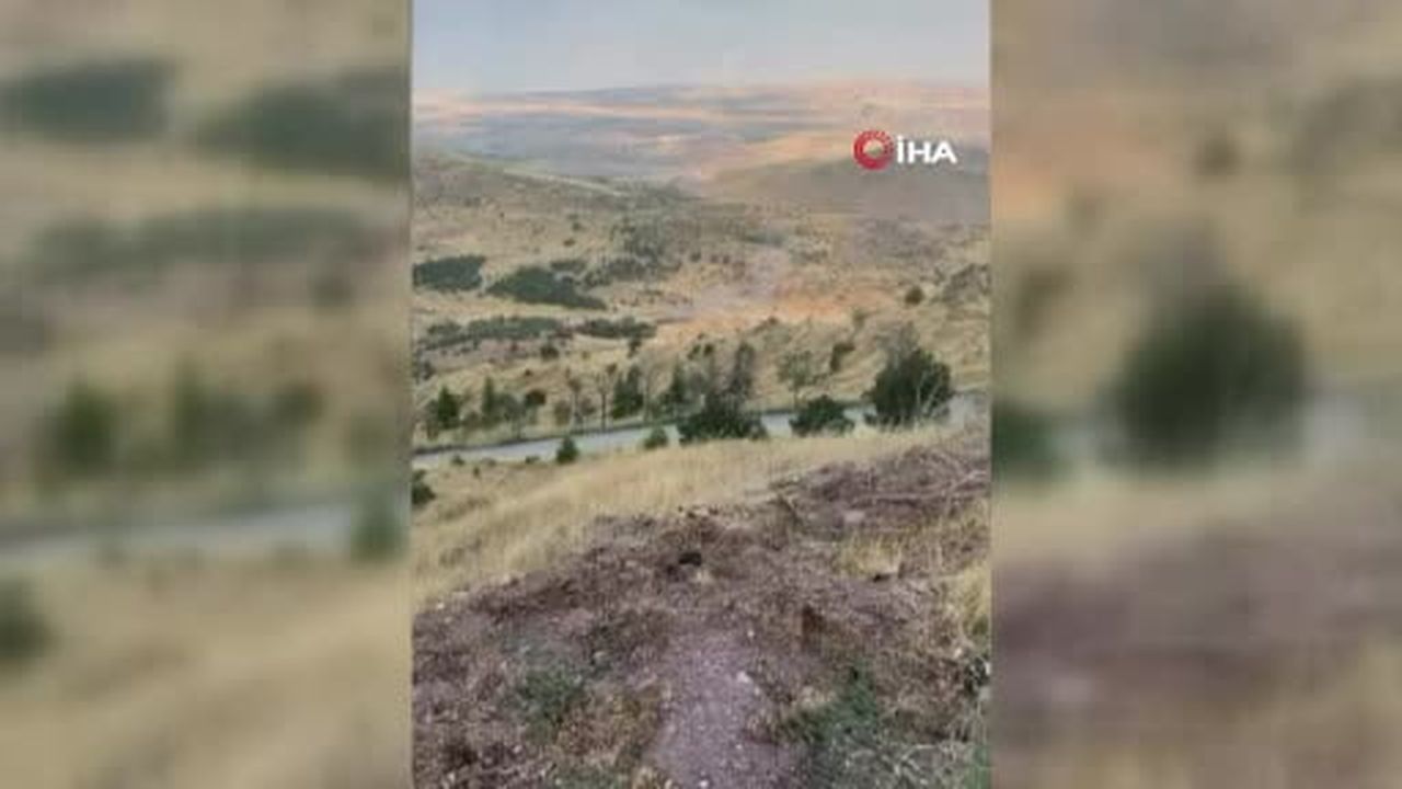 Ankara'da ağaçlık alanda çıkan yangın söndürüldü