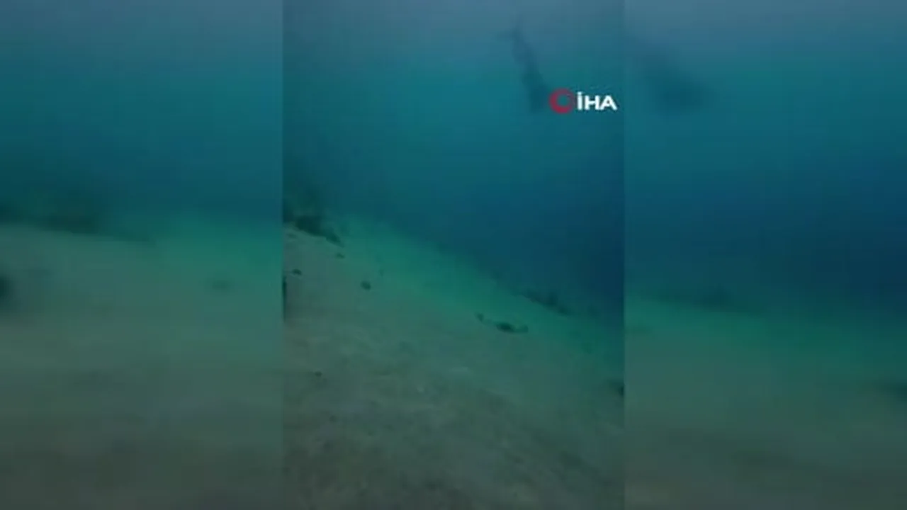 Akyaka’da Cumhuriyet Bayramı’nı su altında kutladılar