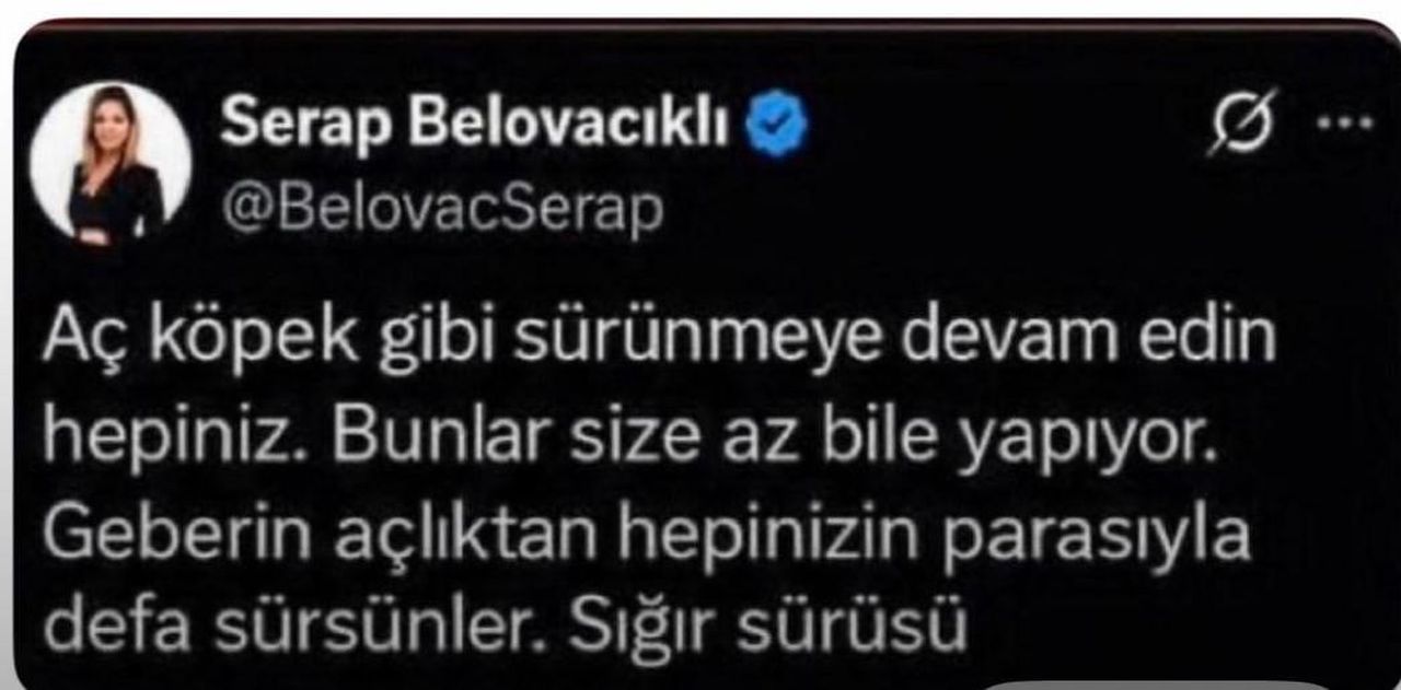 BAKIRKÖY CUMHURİYET BAŞSAVCILIĞI'NCA, GAZETECİ SERAP BELOVACIKLI HAKKINDA RESEN SORUŞTURMA...