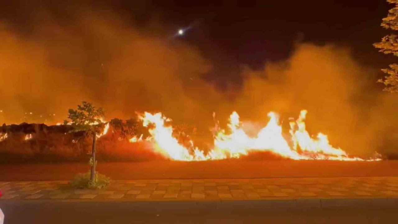 DİYARBAKIR’IN KAYAPINAR İLÇESİNDE OTLUK ALANDA ÇIKAN YANGIN PANİĞE NEDEN OLDU. RÜZGARIN DA ETKİSİ...
