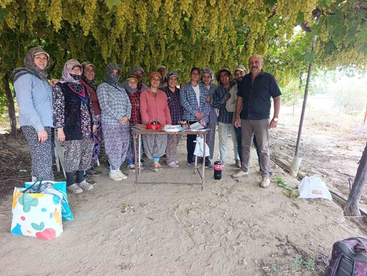 MANİSA'NIN SARIGÖL İLÇESİNDE ÖĞRETMENLİĞİN YANI SIRA ÇİFTÇİLİKLE DE UĞRAŞAN FAHRİ SARITAŞ, ÜZÜM...