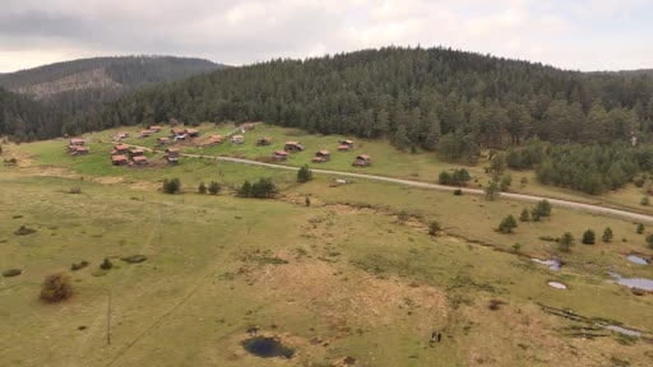 Kastamonu'da Cumhuriyet'in 103. yılına özel 103 meyve çekirdeği doğayla buluşturuldu