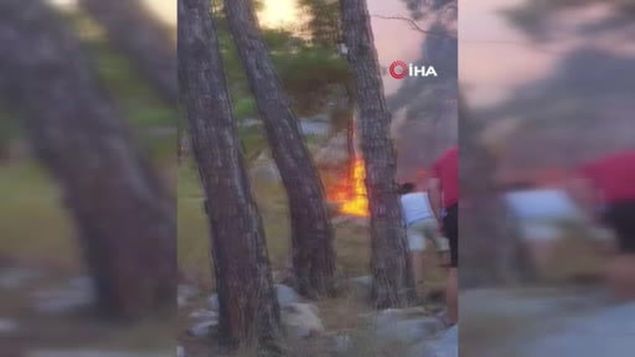 Kemer'de orman yangını: Havadan ve karadan müdahale ediliyor