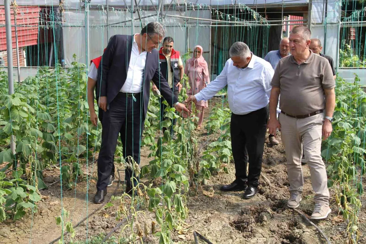 SAMSUN'UN ÇARŞAMBA İLÇESİNDE ŞİDDETLİ SAĞANAĞIN ARDINDAN ZARAR GÖREN TARIM ARAZİLERİ VE BAHÇELERDE...