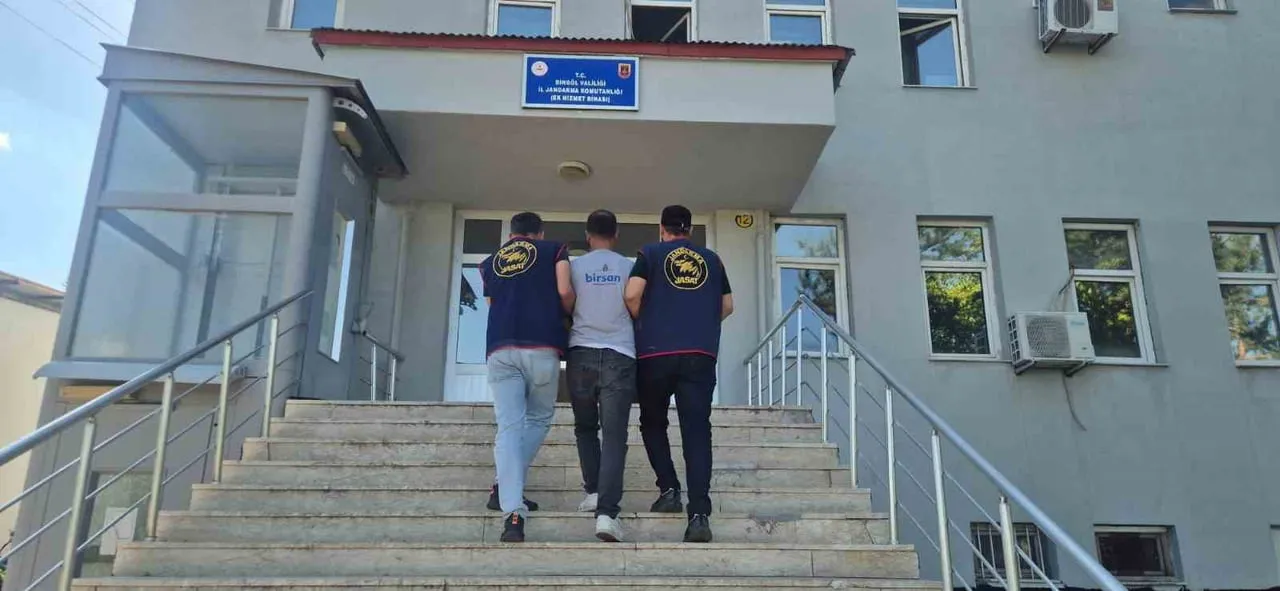 BİNGÖL’DE 5 BİN 176 KÖK KENEVİR ELE GEÇİRİLDİ: 2 ŞÜPHEYİ TUTUKLANDI.