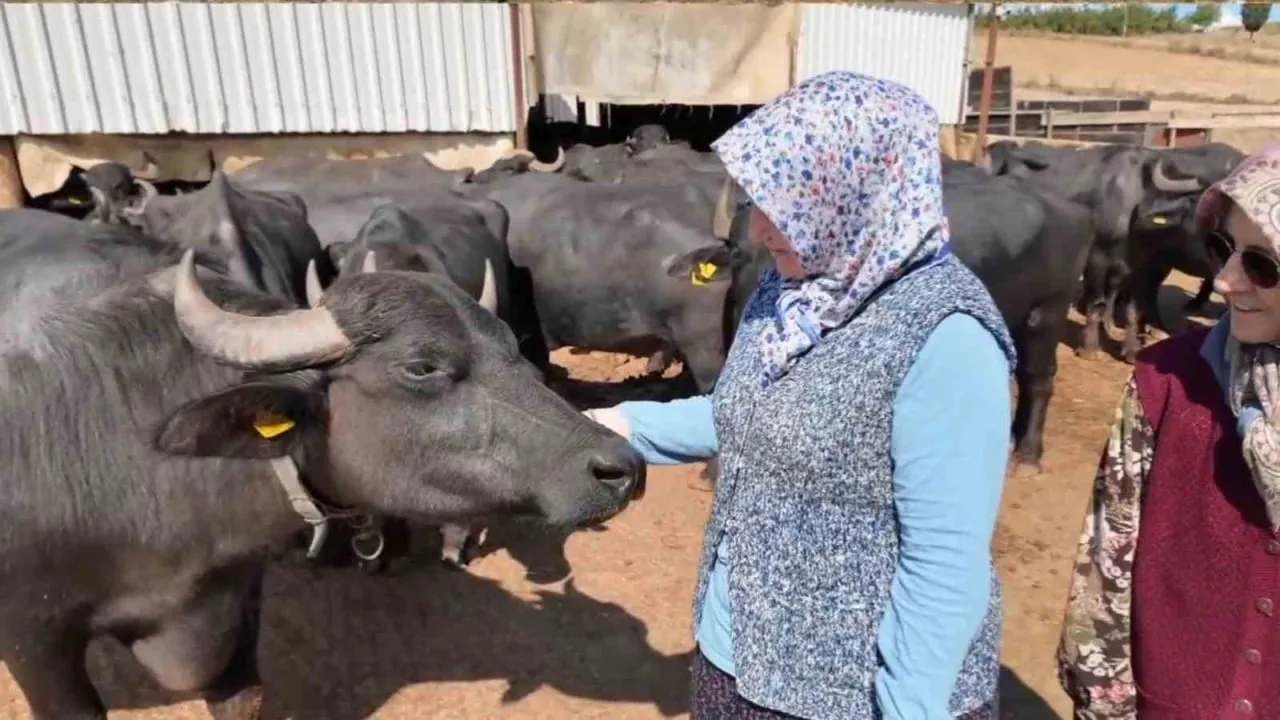 KARACAKILAVUZ MAHALLESİ’NDE NİGAR TURAN VE EMİNE GÜMÜŞ’ÜN BİRKAÇ MANDAYLA BAŞLATTIĞI...
