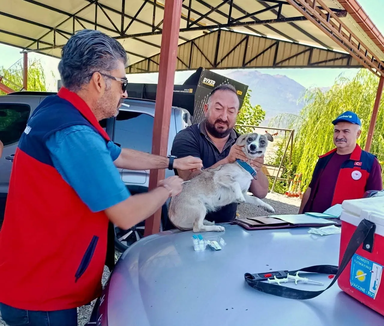 AFYONKARAHİSAR’IN ÇAY İLÇESİNDE EVCİL HAYVANLARIN KAYIT ALTINA ALINMASI VE KUDUZ HASTALIĞIYLA...