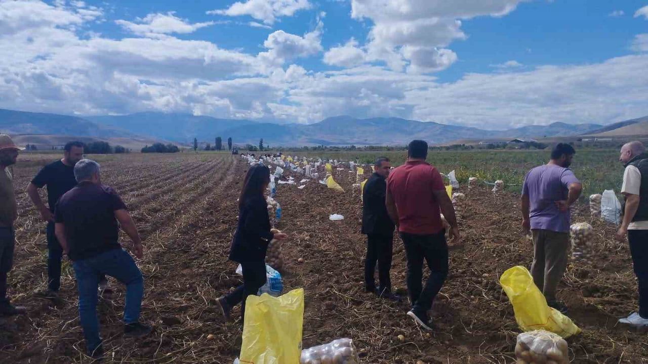 TERCAN’DA PATATES HASADI BAŞLADI