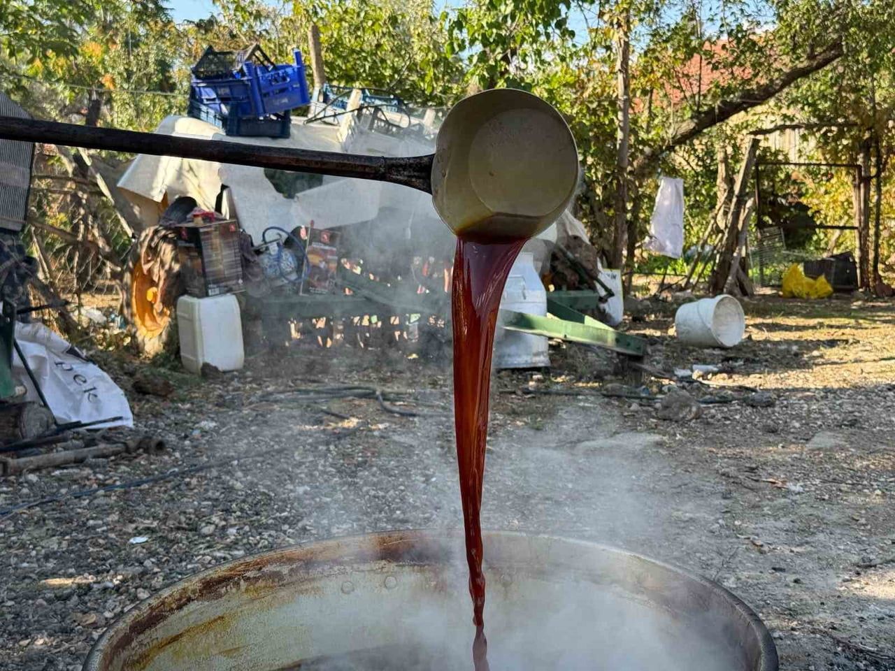 ESKİŞEHİR’İN KIRSAL YUNUSEMRE MAHALLESİ’NDE BAĞ BOZUMUNUN ARDINDAN TOPLANAN ÜZÜMLER, GELENEKSEL...