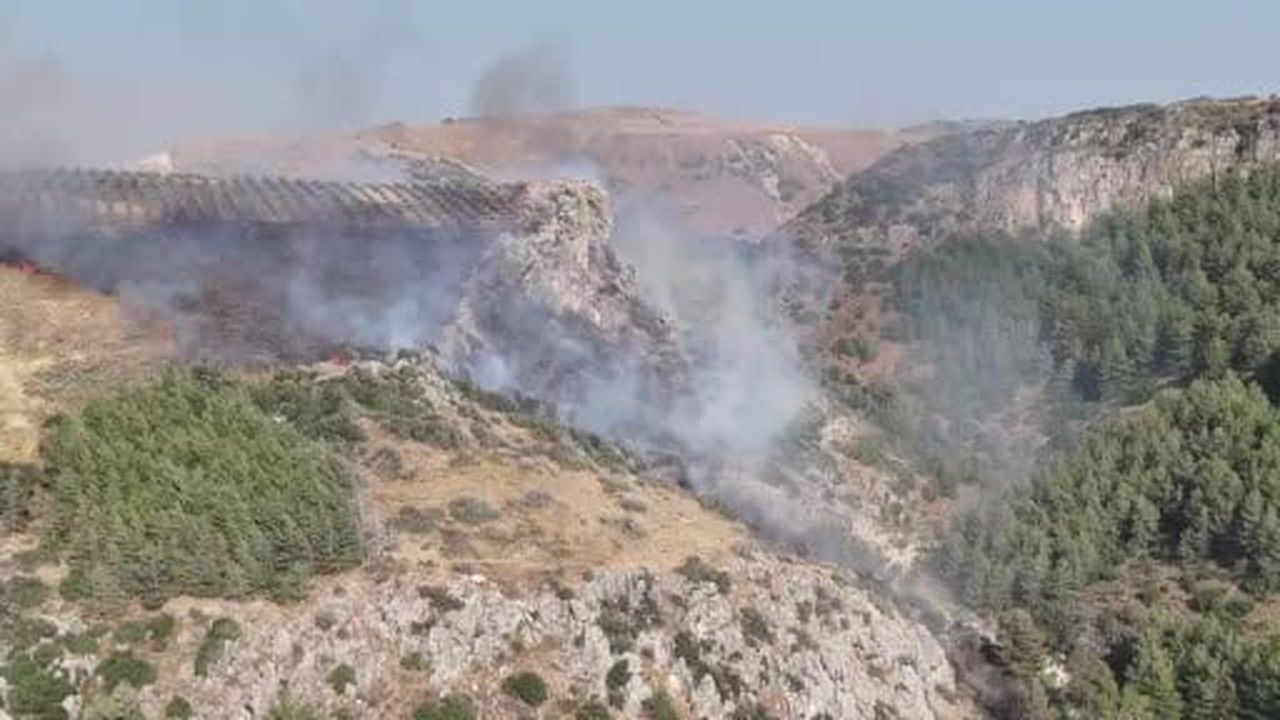 Hatay'da orman yangını çıktı