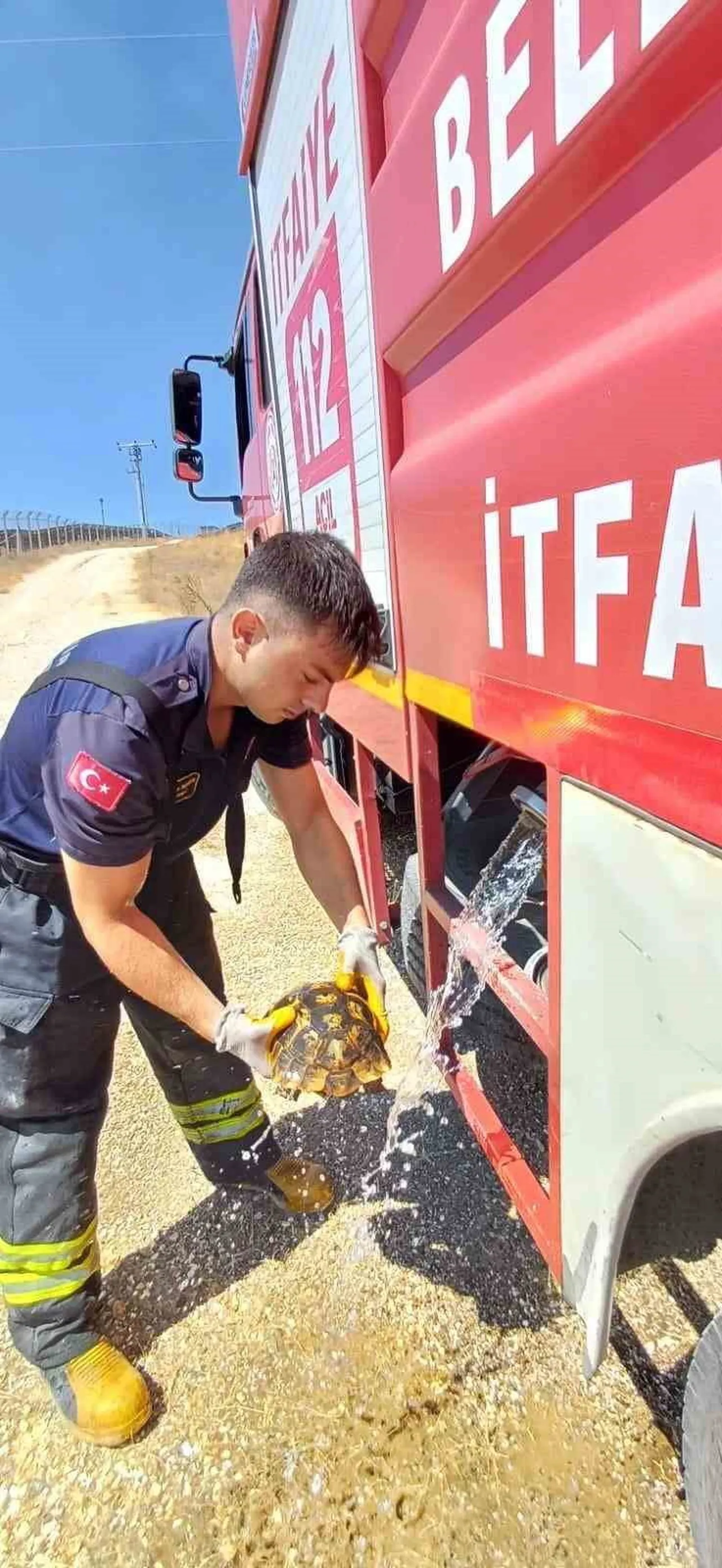 ESKİŞEHİR'DE ÇIKAN ARAZİ YANGINI ESNASINDA ALEVLERİN ARASINDAN KURTARILAN KAPLUMBAĞA, İTFAİYE...