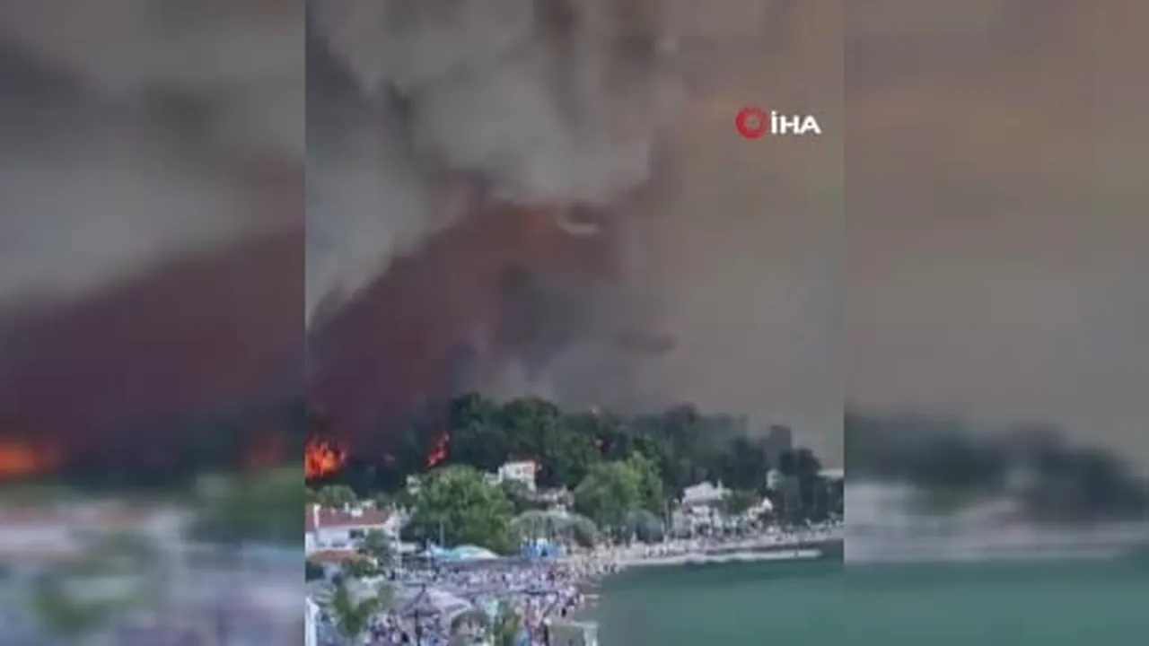 Yunanistan’ın Halkidiki Yarımadası'nda çıkan orman yangınında yaklaşık 350 hektarlık alan küle...
