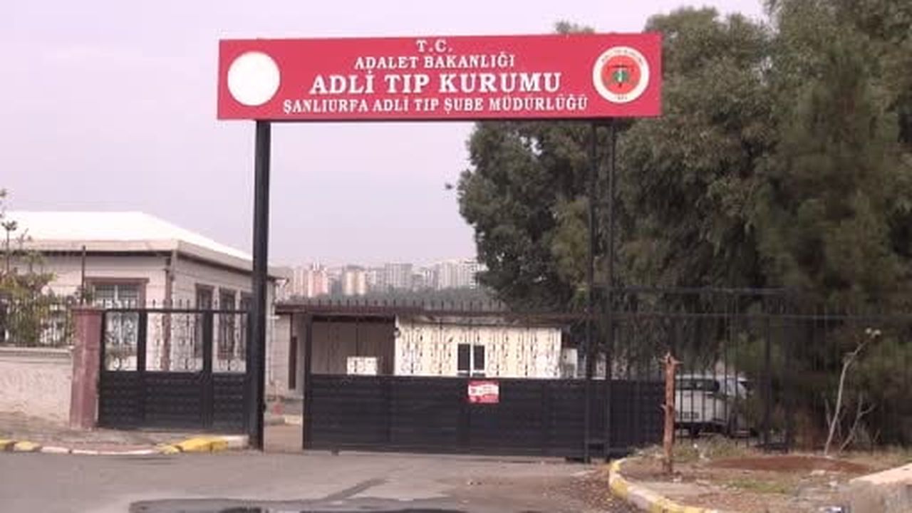 Şanlıurfa’da devrilen tırın sürücüsü öldü