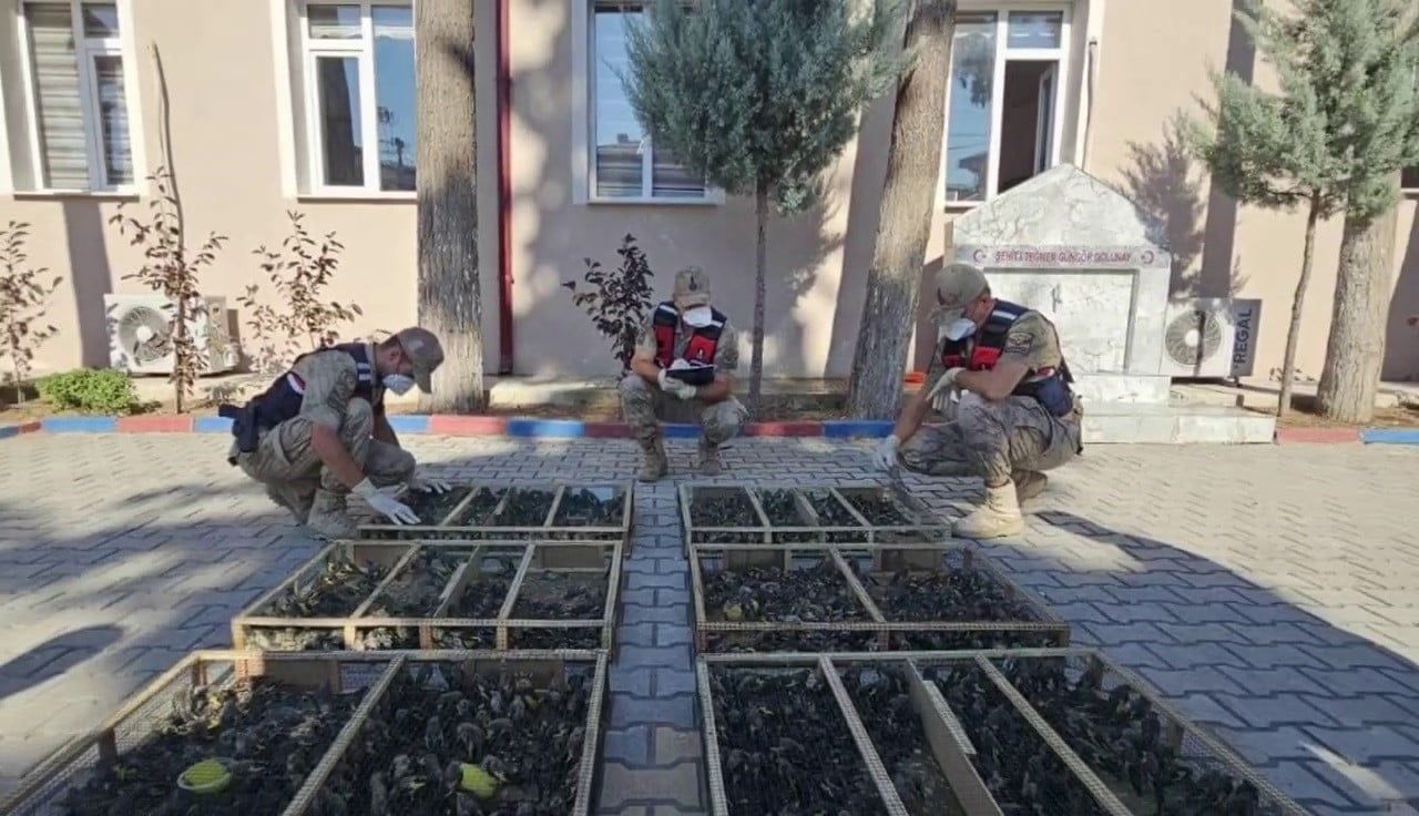 HATAY’DA JANDARMA EKİPLERİ TARAFINDAN SURİYE SINIRINDA TRAKTÖR RÖMORKUNDA YAPILAN KONTROLLERDE...