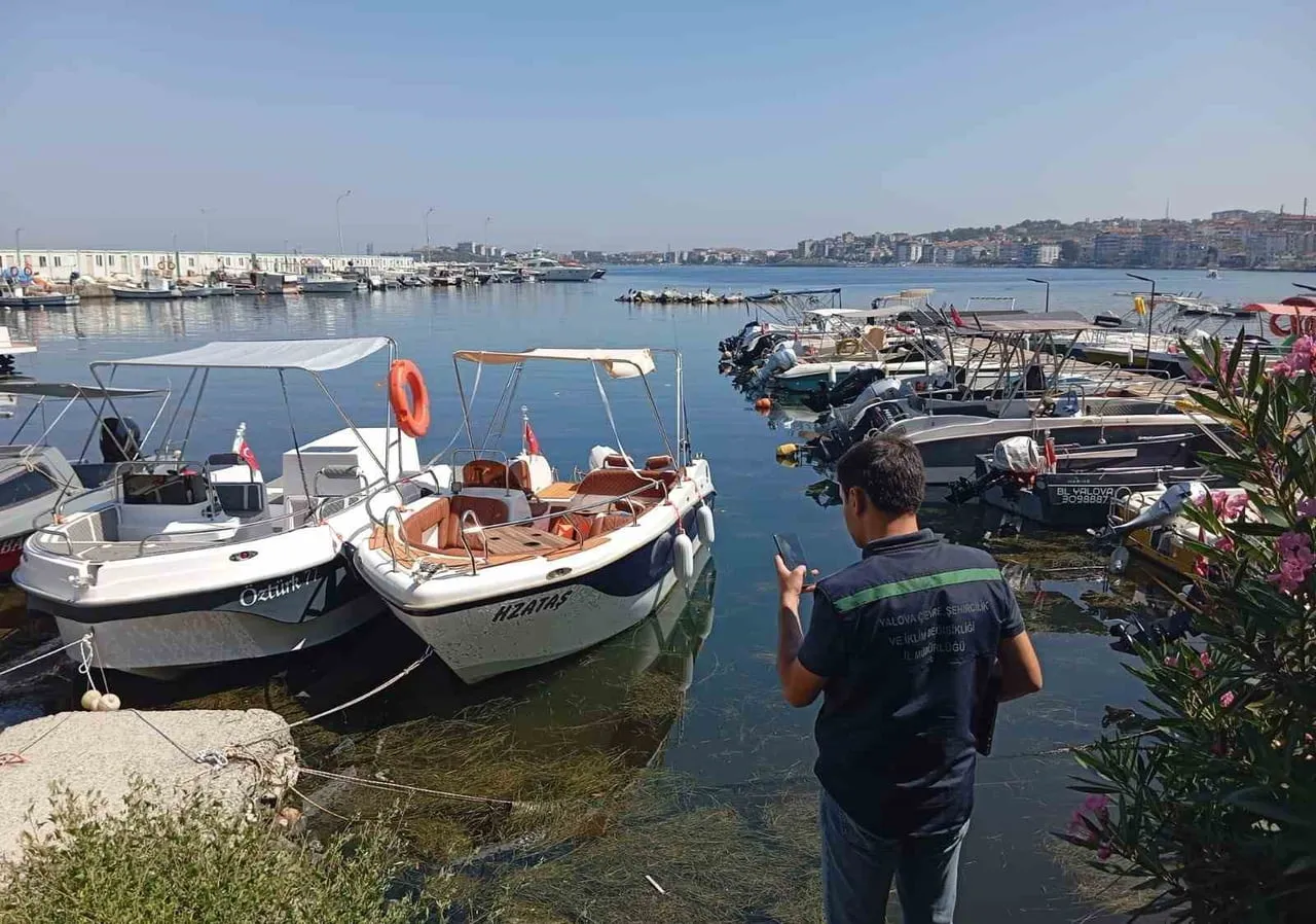 ÇEVRE, ŞEHİRCİLİK VE İKLİM DEĞİŞİKLİĞİ BAKANLIĞI EKİPLERİ YALOVA ÇINARCIK VE ANTALYA KAŞ’TA...