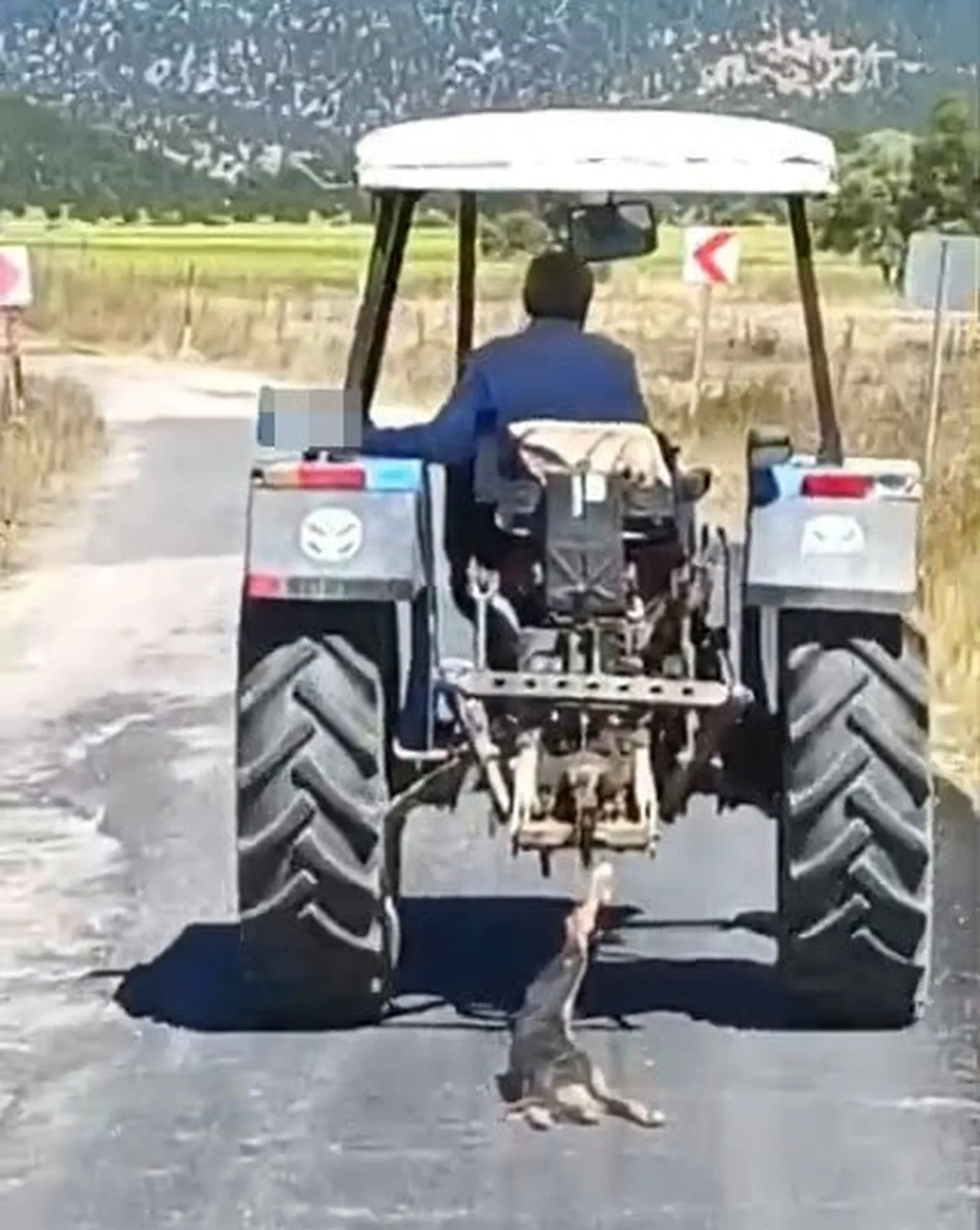 KAHRAMANMARAŞ’IN ANDIRIN İLÇESİNDE BİR KÖPEĞİN TRAKTÖRÜN ARKASINA BAĞLANARAK SÜRÜKLENMESİ SONUCU...