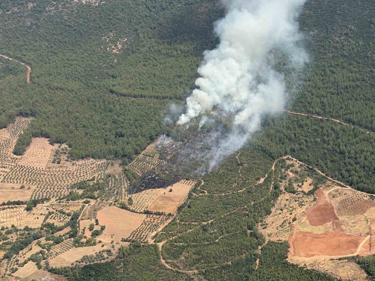 MUĞLA'NIN YATAĞAN İLÇESİNDE ZİRAİ ALANDA ÇIKAN YANGIN ORMANLIK ALANA SIÇRARKEN, ALEVLERİN...