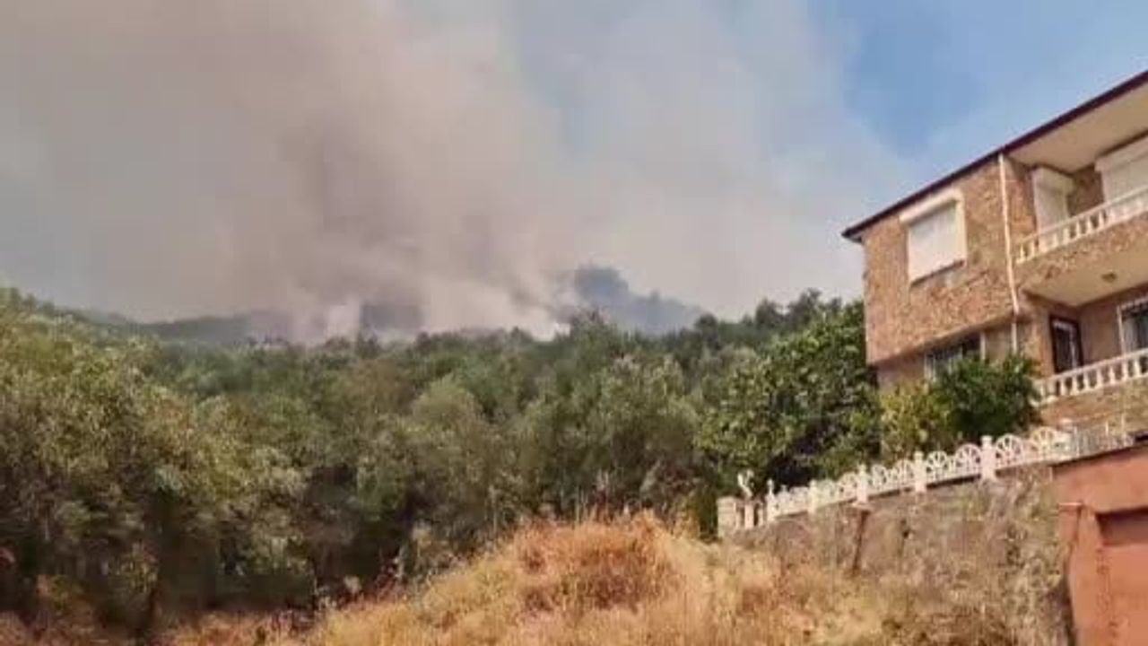 Antandros Kazı Alanı'nda yangın, alevler yerleşim yerlerini tehdit ediyor