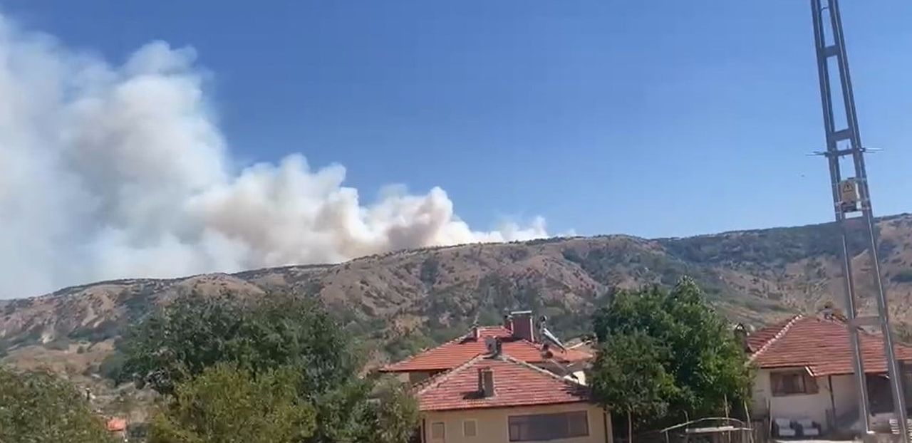 ANKARA'NIN KIZILCAHAMAM İLÇESİ İLE ÇANKIRI'NIN ÇERKEŞ İLÇESİNİN SINIRINDA BULUNAN ORMANLIK ALANDA...