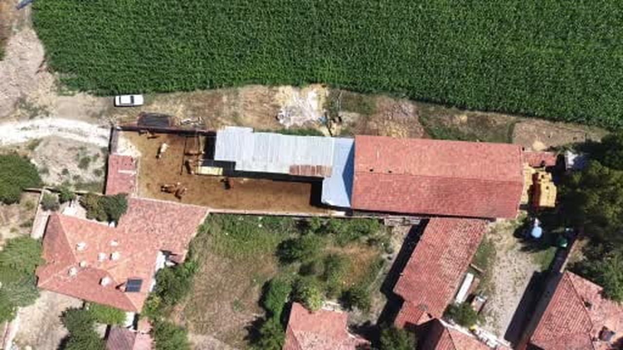 Memuriyeti bıraktı, hayvancılığa başlayarak çocukluk hayalini gerçekleştirdi