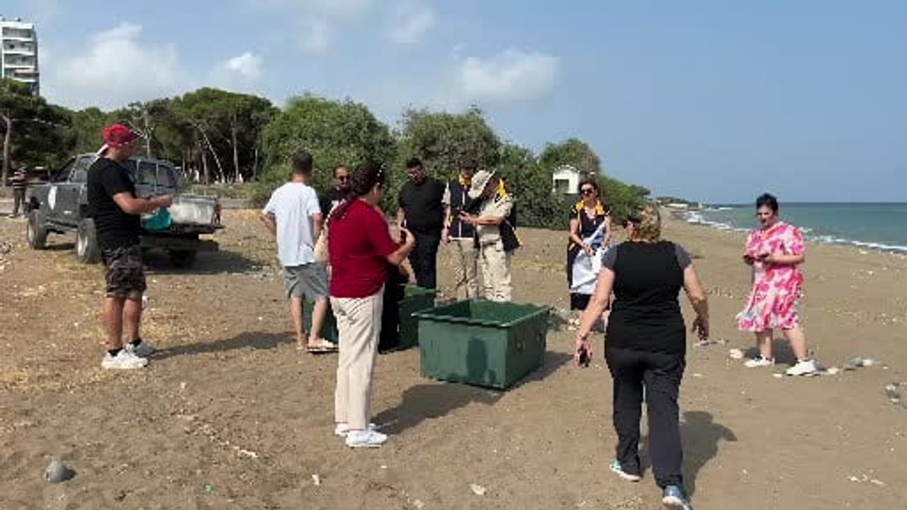 Mersin'de uydu takip cihazı takılan 2 deniz kaplumbağası denize bırakıldı