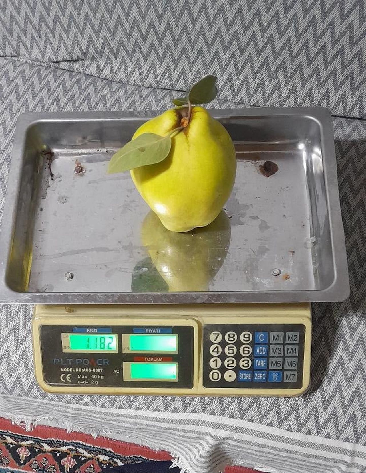 1182 GRAM TARTILAN AYVA