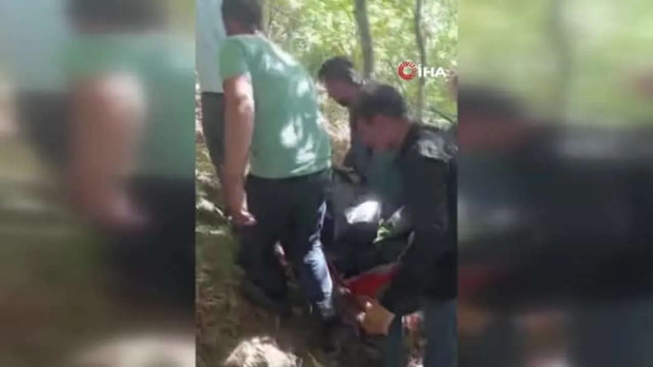 Samsun'da koyunlarını otlatmaya giden adam ormanda ölü bulundu