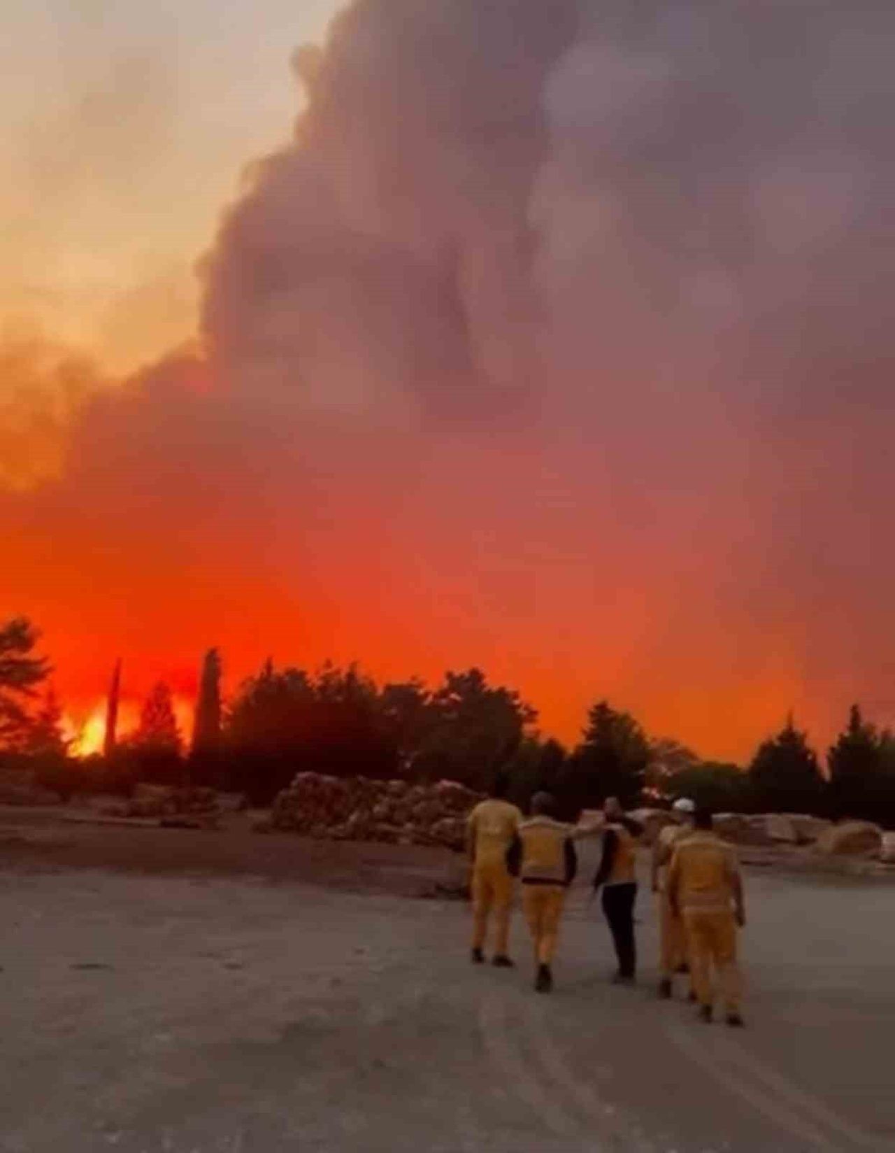 MUĞLA’NIN MENTEŞE İLÇESİ YARAŞ MAHALLESİNDE BAŞLAYAN ORMAN YANGININA HAVADAN VE KARADAN MÜDAHALE...