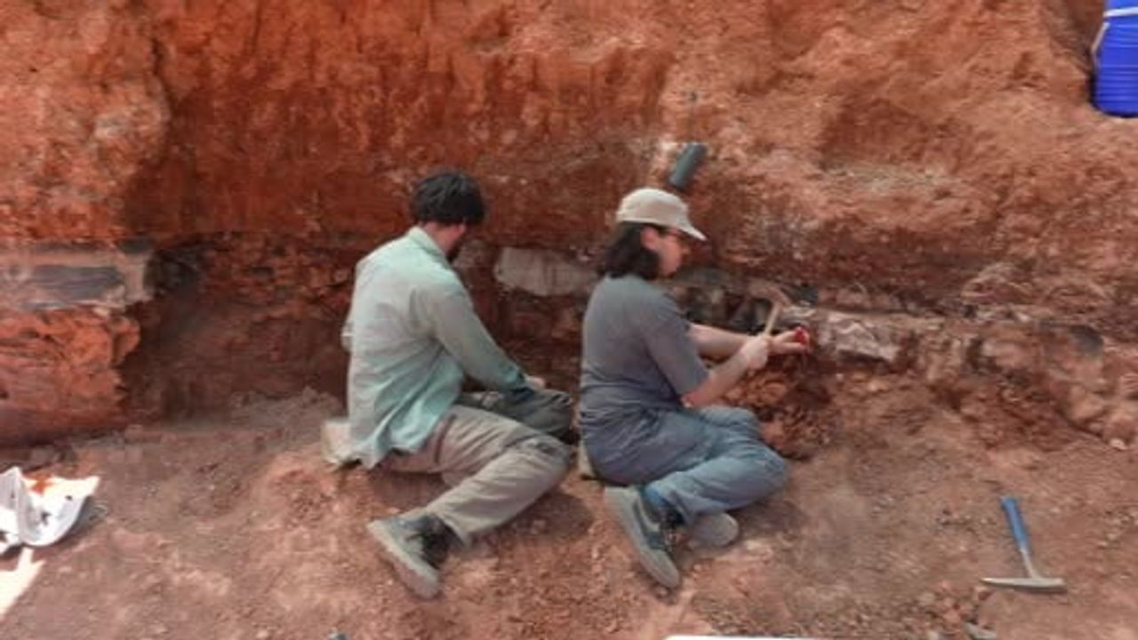 Milyonlarca yıllık fosil kalıntıları geçmişin karanlığına ışık tutuyor