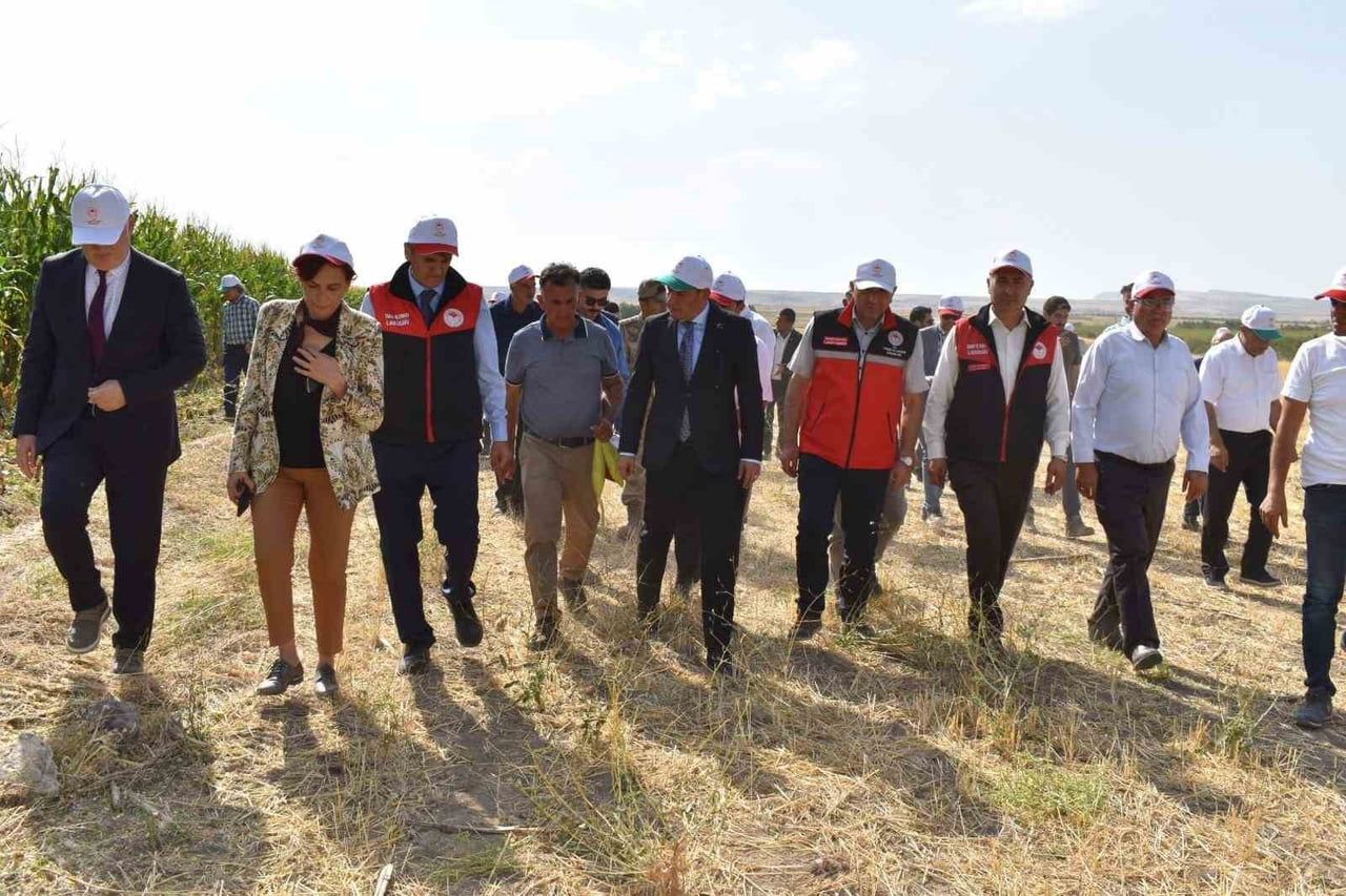 VAN’IN TUŞBA İLÇESİNE BAĞLI TEVEKLİ MAHALLESİ’NDE ÜRETİCİ TURGAY KIRAN’A AİT TARLADA "SİLAJLIK...