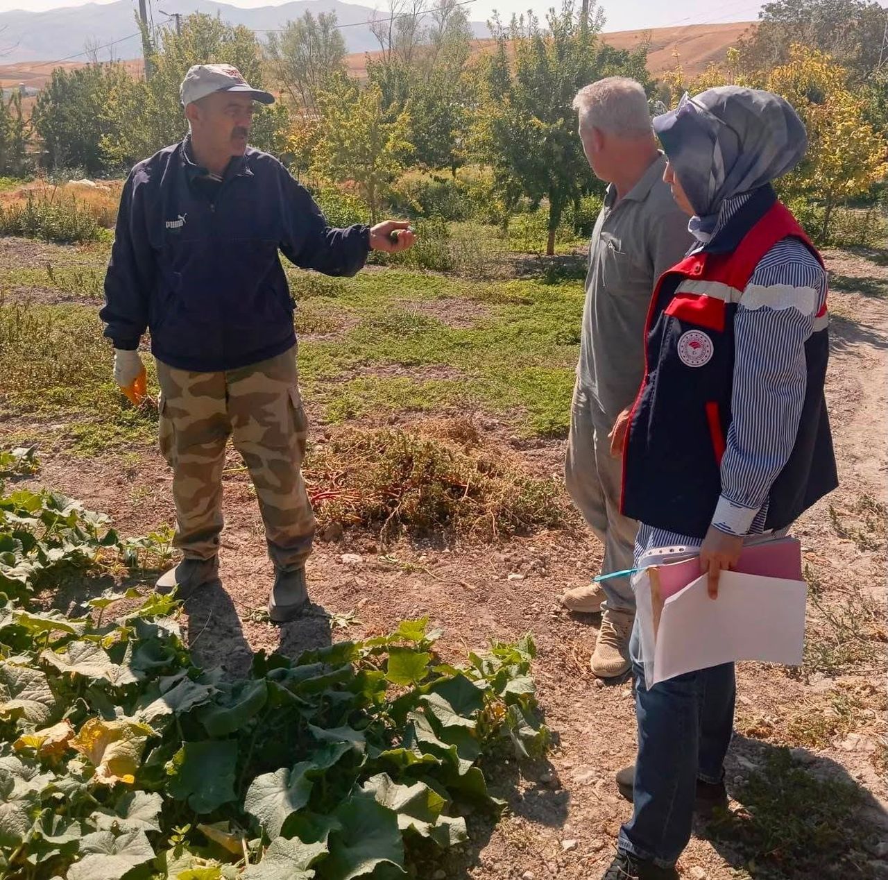 AFYONKARAHİSAR’DA BİTKİSEL ÜRETİMDE GIDA GÜVENİLİRLİĞİNİN SAĞLANMASI VE TÜKETİCİ SAĞLIĞININ...