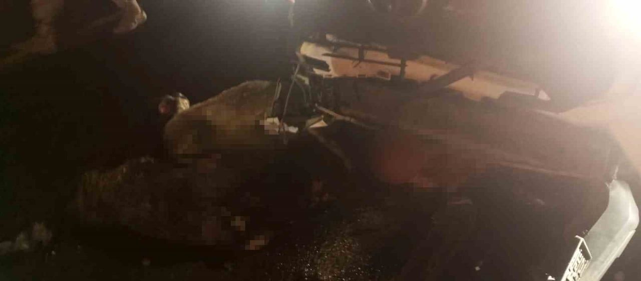 DİYARBAKIR’IN ÇINAR İLÇESİNDE OTOMOBİL, YOLDAKİ KOYUN SÜRÜSÜNE DALDI. KAZADA 15 KÜÇÜKBAŞ HAYVAN...