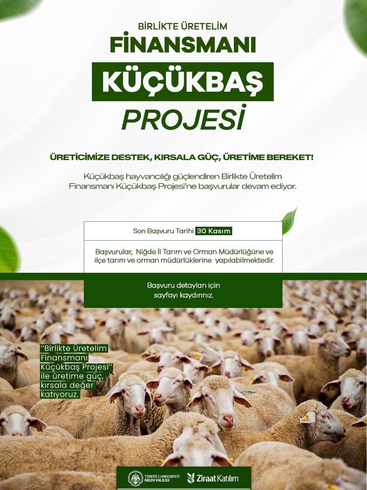 NİĞDE VALİLİĞİ DUYURDU: KÜÇÜKBAŞ HAYVANCILIK PROJESİNE BAŞVURULAR SÜRÜYOR