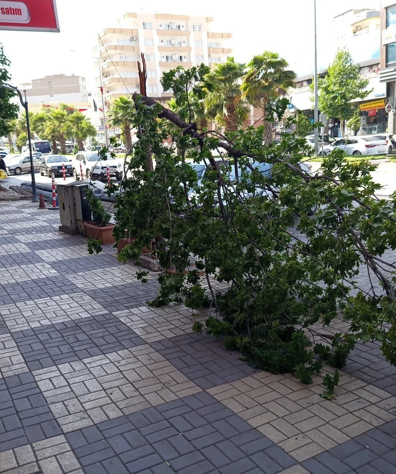 ADIYAMAN’IN KAHTA İLÇESİNDE ETKİLİ OLAN ŞİDDETLİ RÜZGAR NEDENİYLE BİR AĞAÇ...