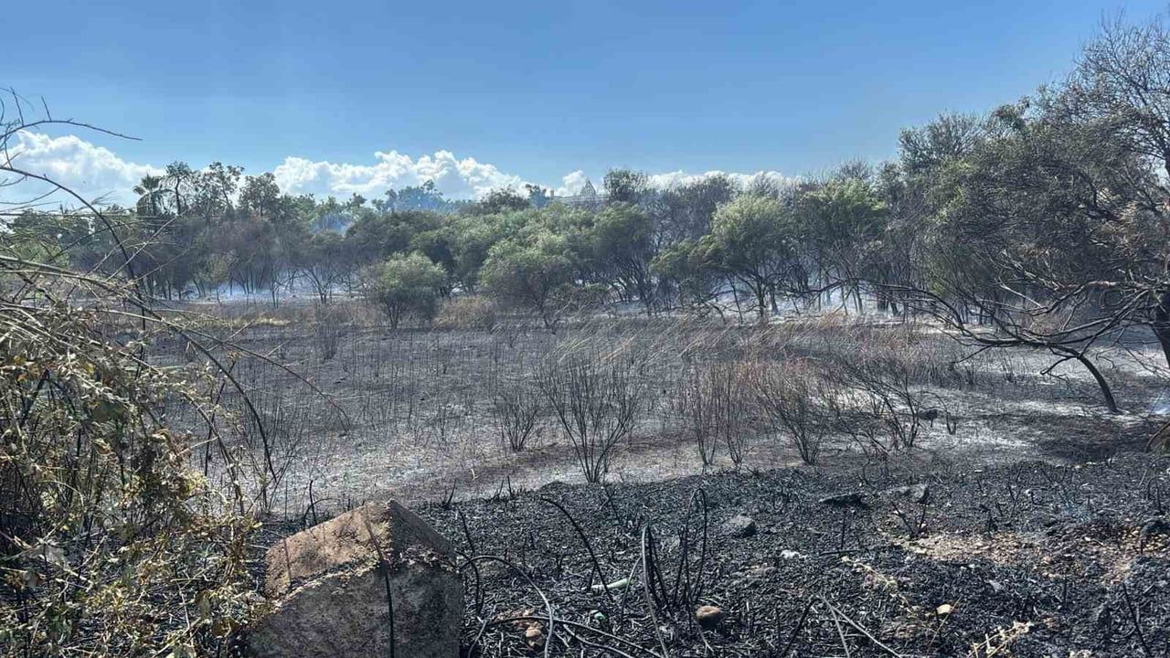 ANTALYA'NIN MANAVGAT İLÇESİNDE SAZLIK VE AĞAÇLIK ALANDA ÇIKAN YANGIN SÖNDÜRÜLDÜ