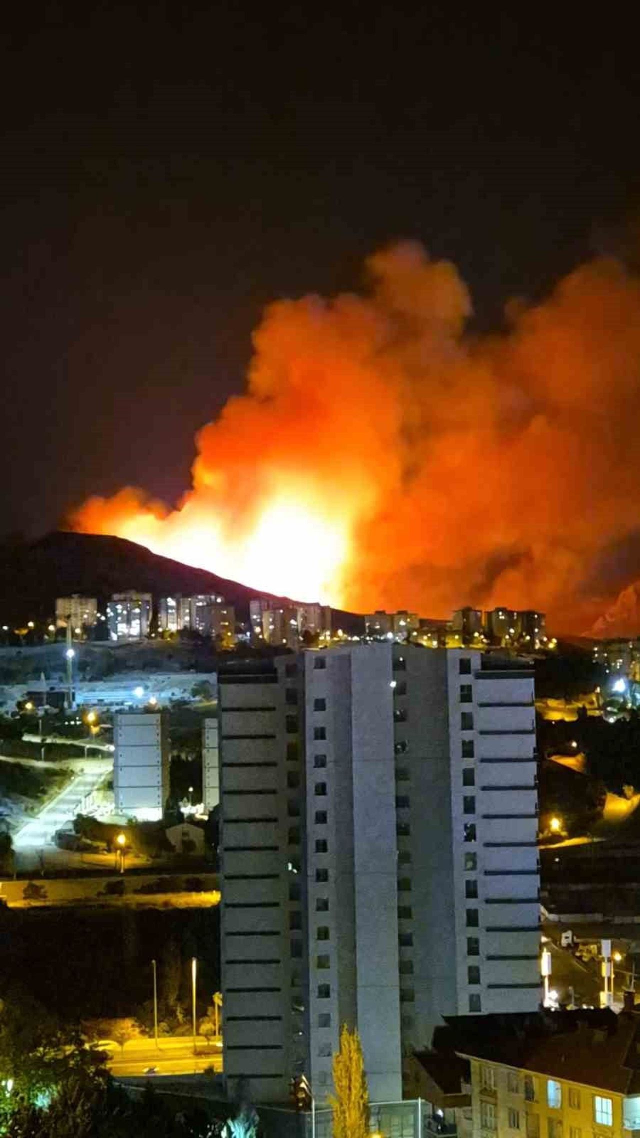 ANKARA'NIN MAMAK İLÇESİNDE AĞAÇLIK ALANDA YANGIN ÇIKTI.