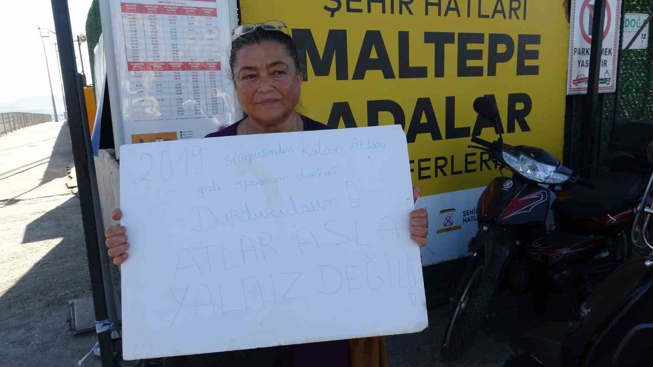 HAYVAN VE DOĞA GÖNÜLLÜSÜ DOĞA SU DİLEK