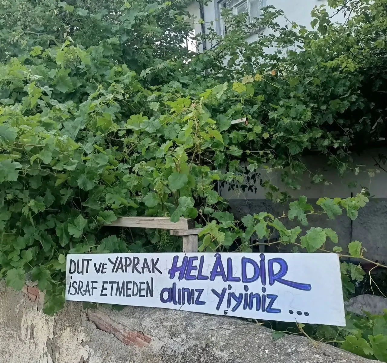 AFYONKARAHİSAR’IN BOLVADİN İLÇESİNDE 1984-1989 YILLARI ARASINDA BELEDİYE BAŞKANLIĞI GÖREVİNİ...