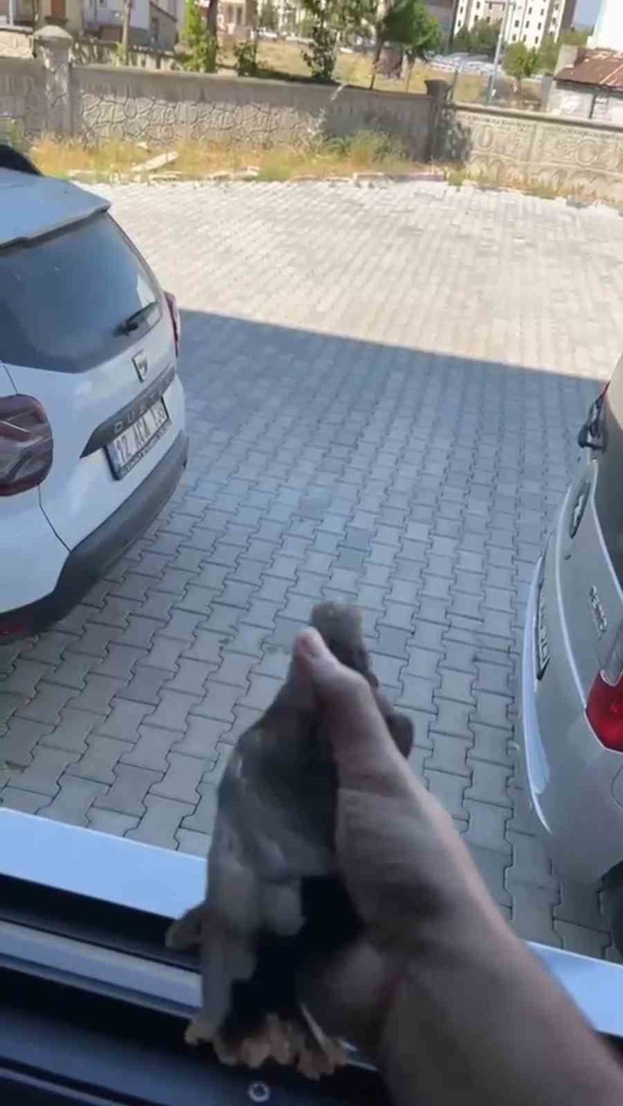 APARTMAN BOŞLUĞUNA DÜŞEN SIĞIRCIK KURTARILDI