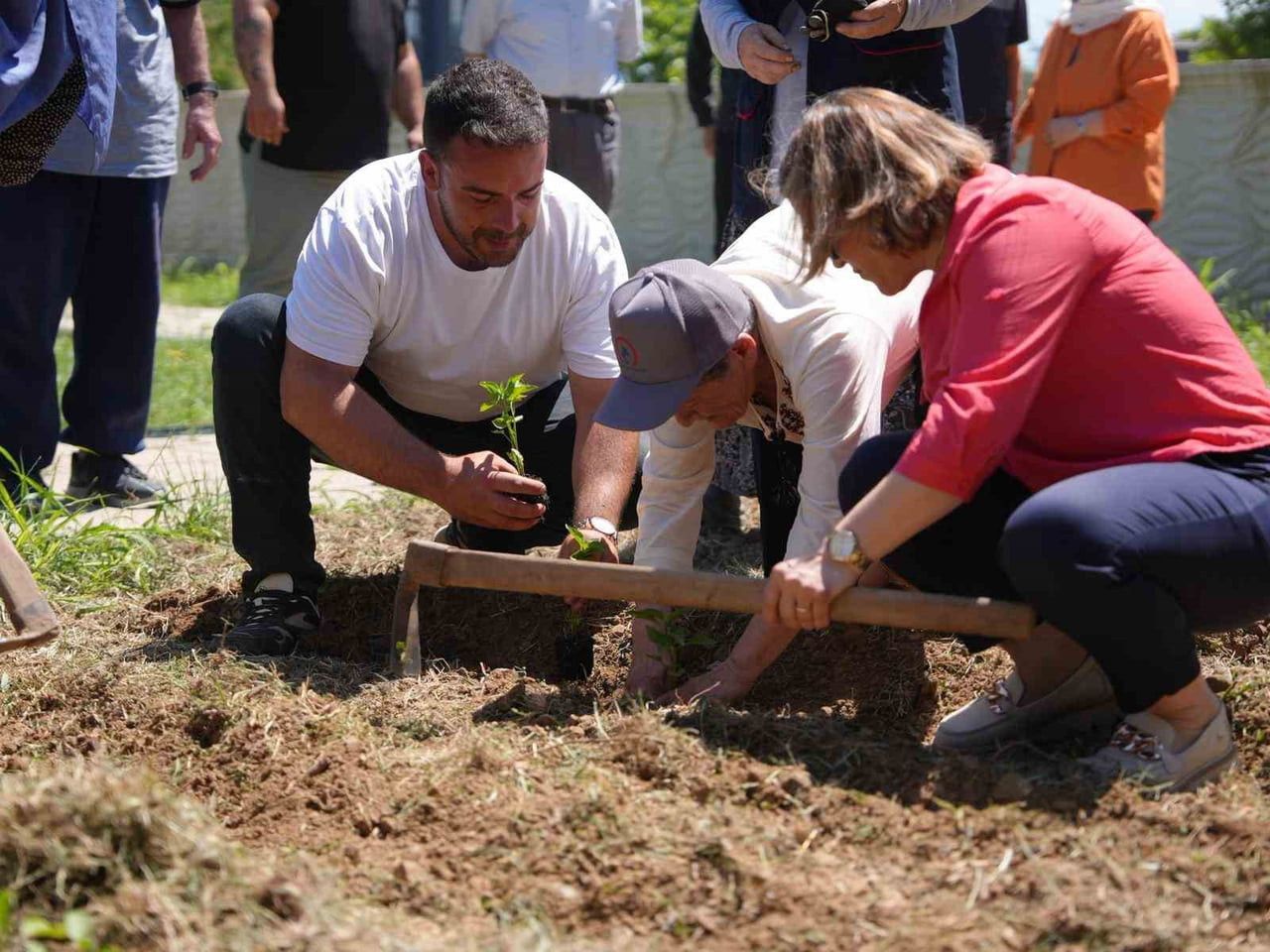 ATA TOHUMUNDAN ELDE EDİLEN FİDELER, ERTAN UÇAR ALZHEİMER HASTALARI GÜNDÜZ BAKIM MERKEZİ İLE...