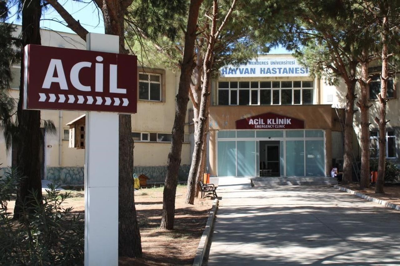 AYDIN ADNAN MENDERES ÜNİVERSİTESİ (ADÜ) VETERİNER FAKÜLTESİ ARAŞTIRMA VE UYGULAMA HAYVAN...