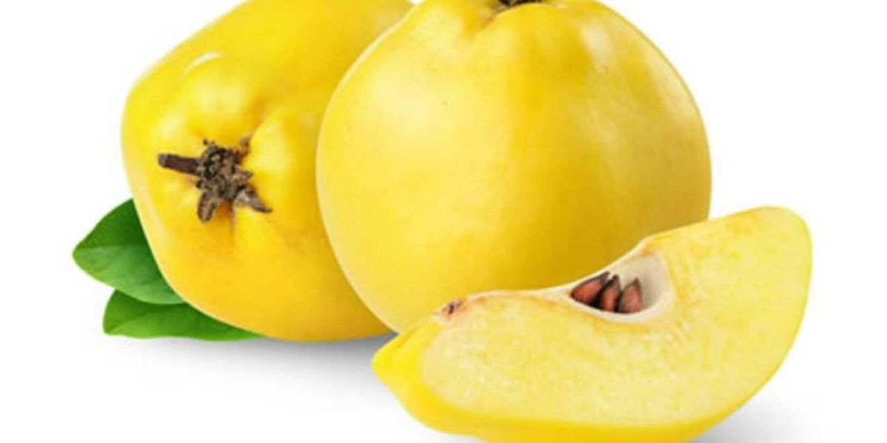 Ayvanın Bebek Üzerindeki Faydaları