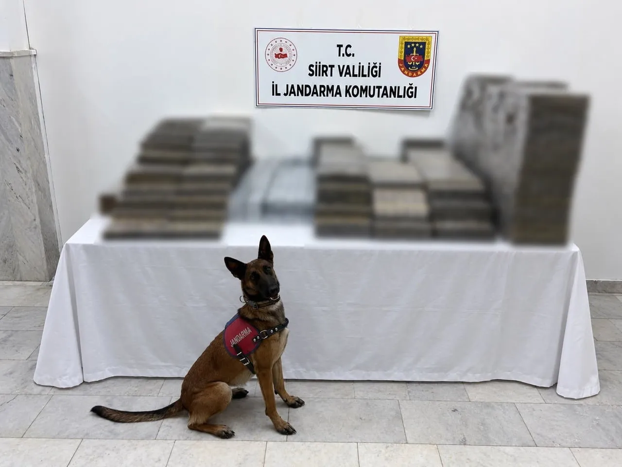 SİİRT’TE KÖMÜR ÇUVALLARININ ARASINA GİZLENMİŞ 10 BİN 250 PAKET KAÇAK SİGARA ELE...
