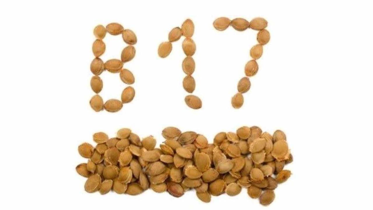 B17 vitamini (Laetril) hapları sağlığa zararlı mı