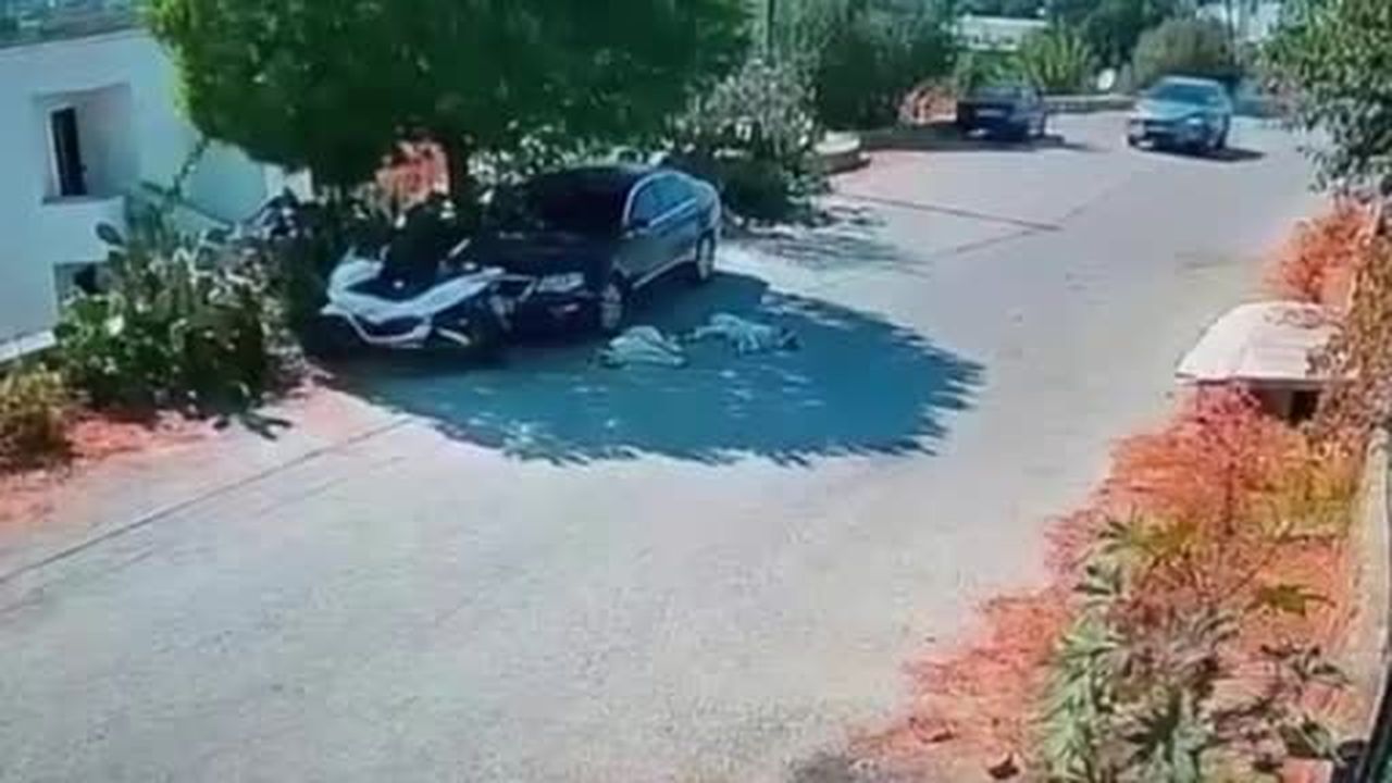 Otomobiliyle köpeklerin üzerinden geçti
